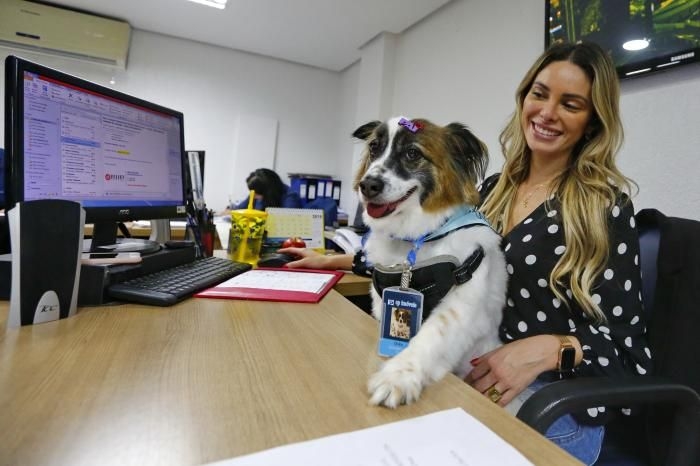 Diário Pets Fofinhos - DCL - Broker Corporativo