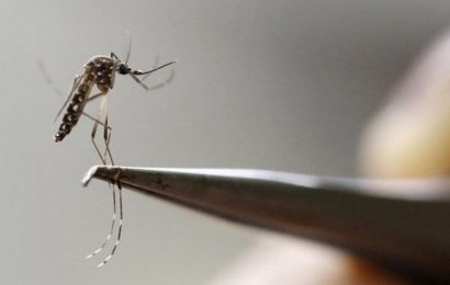 Governo gaúcho confirma mais uma morte por dengue no Estado; total chega a 27