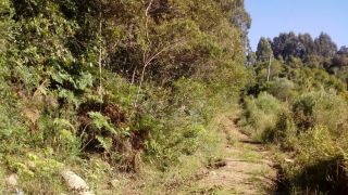 Morador reclama da situação e do abandono de estrada na Colônia Nova