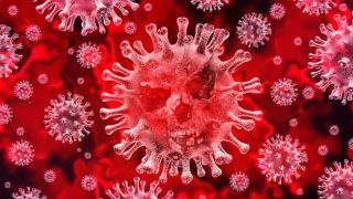 Primeiro caso de reinfecção pelo coronavírus no mundo é confirmado, anunciam cientistas de Hong Kong