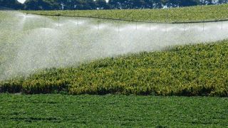 Secretaria da Agricultura publica nota técnica sobre proibição do uso do Paraquate