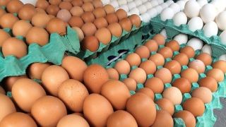 Preços dos ovos recuam