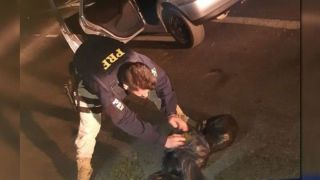 PRF prende casal transportando skunk no porta-mala de um veículo em Pelotas