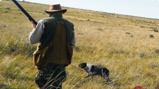 Operação "Canis" é realizada na área rural de Camaquã