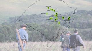Agricultura emite alerta sanitário para aumento de focos de raiva por herbívoros no Estado