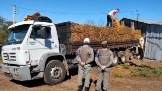 Roubo de cargas de fumo diminuiu em 2020