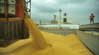 Preço da soja sobe 9% no acumulado de maio, diz Cepea