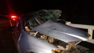 Motorista morre após atropelar capivara na BR-290, em Alegrete