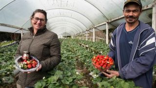 Programa Estadual da Agricultura Familiar estimula produção das agroindústrias gaúchas