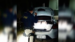 PRF apreende mais de 400 quilos de peixe sendo transportados irregularmente em Camaquã
