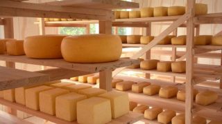 Produtores de queijo artesanal serrano podem aderir ao selo arte e comercializar o produto em todo o Brasil