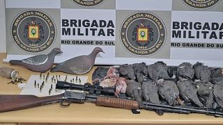 Brigada Militar efetua apreensão de arma de caça e animais abatidos