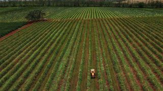 Boletim de Conjuntura aponta perspectivas positivas para a agropecuária no Rio Grande do Sul