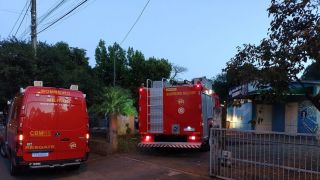 Grávida sofre ataque de abelhas em Lajeado, diz Corpo de Bombeiros