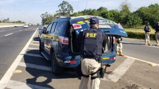 Criminoso é preso por abigeato em Alegrete