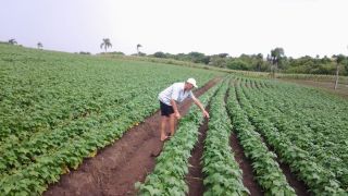 Estabelecimentos penitenciários do RS irão comprar gêneros alimentícios da Agricultura Familiar