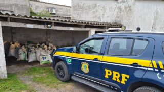 Homem é preso por saque de carga em acidente na BR-392, em Caçapava do Sul