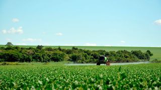 Assembleia aprova nova regra dos agrotóxicos no RS