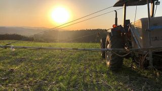 Com maior área plantada em sete anos, Rio Grande do Sul pode colher safra de trigo recorde