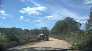 Morador registra limpeza de estrada em Amaral Ferrador