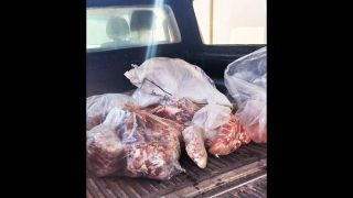 Operação da Brigada Militar apreendeu quase 500kg de carne em municípios do RS 