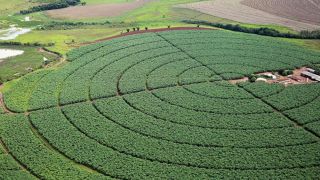Governo publica novas regras para registro de defensivos agrícolas no Brasil