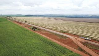 Com falta de fertilizantes, alimentos devem ficar mais caros em 2022 