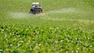 Produtores rurais do RS voltam a ter 10 dias para declaração de aplicação de agrotóxicos hormonais