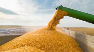 IBGE prevê safra recorde de grãos em 2022