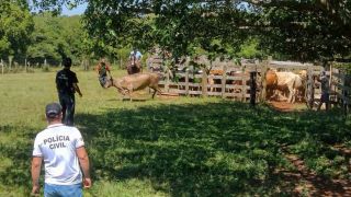 Decrab Camaquã averiguou denúncia de gado irregular em Gravataí