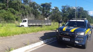 Caminhão carregado com cigarros paraguaios é apreendido na BR-116