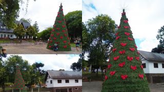 Dom Feliciano terá árvore gigante de Natal em frente a Casa da Cultura