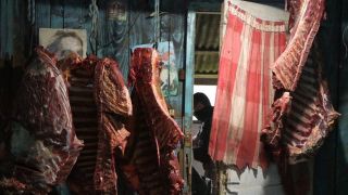Fiscais apreendem 450 quilos de carne de cavalo de abate clandestino em Pelotas
