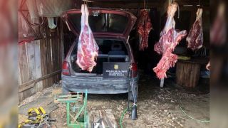 Operação Carniceiros prende três pessoas por furto de abigeato