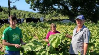 Produtores rurais investem em diversificação de cultivos