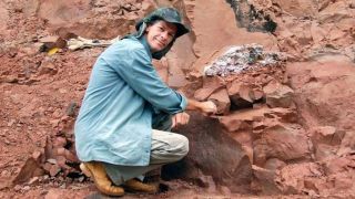 Ninhada de ovos de dinossauro é descoberta no interior paulista