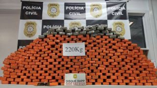 Polícia Civil apreendeu 346 tijolos de maconha