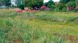Homem mata a irmã e o cunhado a facadas no Rio Grande do Sul 