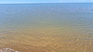 Praias da região estão próprias para banho