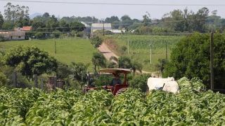 Negociação de preços do tabaco encerra com assinatura de protocolo com a JTI