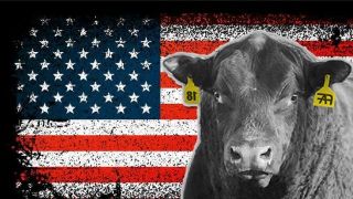 EUA aumenta em 526,30% as compras de carne brasileira