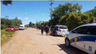 Cavalos vítimas de maus tratos são recolhidos no interior de Santa Cruz