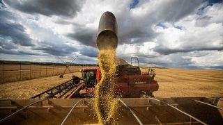 Valor Bruto da Produção Agropecuária de 2022 é estimado em R$ 1,2 trilhão