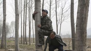 Dupla de amigos – um cego e outro sem braços – reflorestam, juntos, mais de 10 mil árvores na China