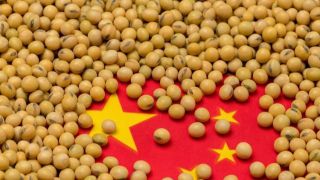 China cancela a compra de dez navios de soja brasileira