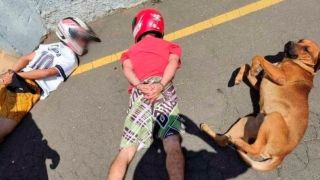 Cachorro deita junto de suspeitos durante abordagem policial