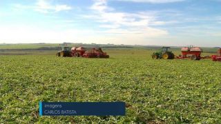 Propriedade de Cruz Alta ganha título de maior produtividade de soja do Brasil