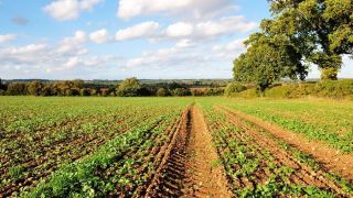 BNDES suspende linha de crédito para agricultura familiar com juro subsidiado