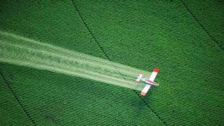 Ministério da Agricultura divulga registro de 42 agrotóxicos