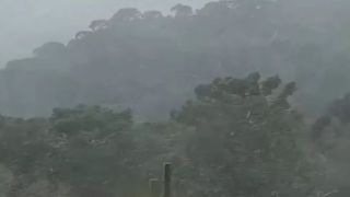Rio Grande do Sul registra primeira neve de 2022 nesta terça; vento deve se intensificar e castigar o Estado